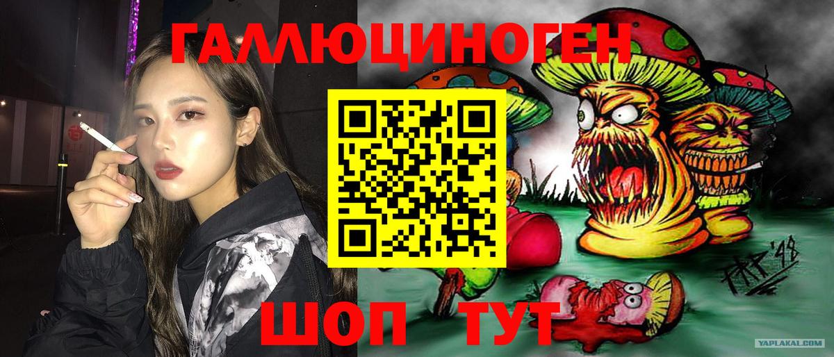 Галлюциногенные грибы прущие грибы Салават
