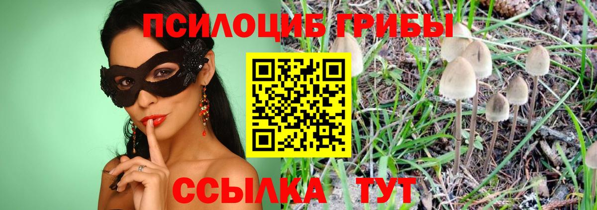 Салават  Псилоцибиновые грибы Psilocybine cubensis  Вход с VPN 